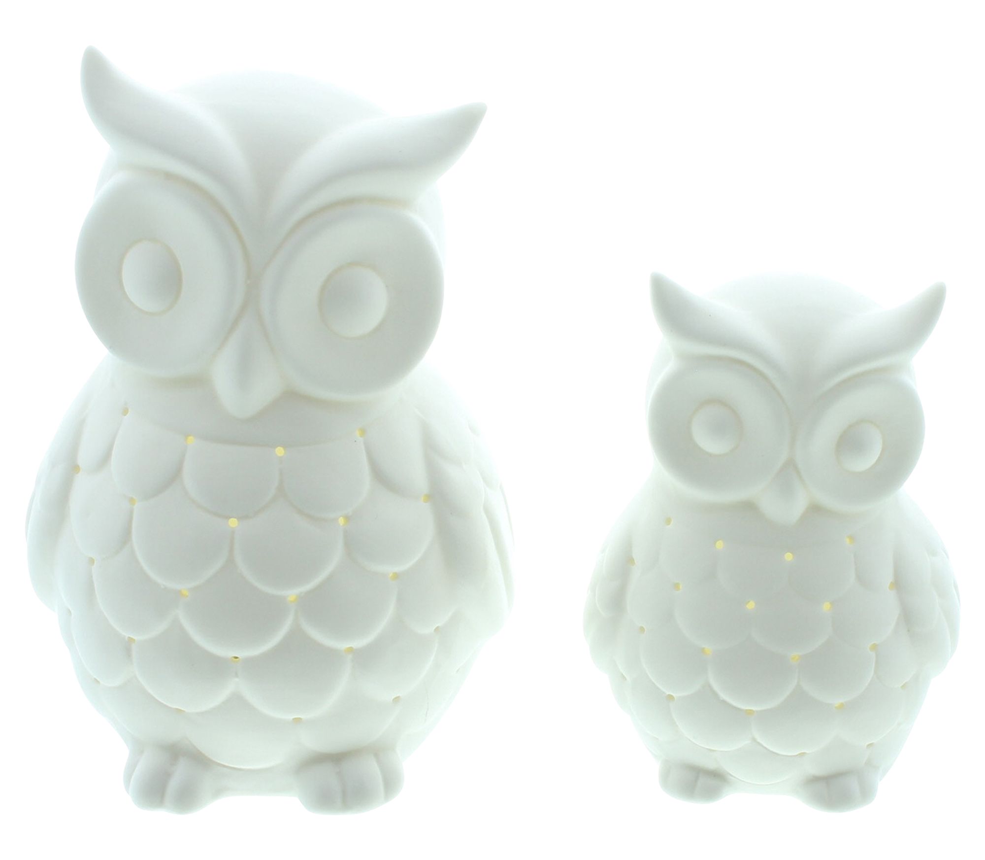 LED-Eule "White", 2er Set  im Frank Flechtwaren Online Shop für Herbst kaufen