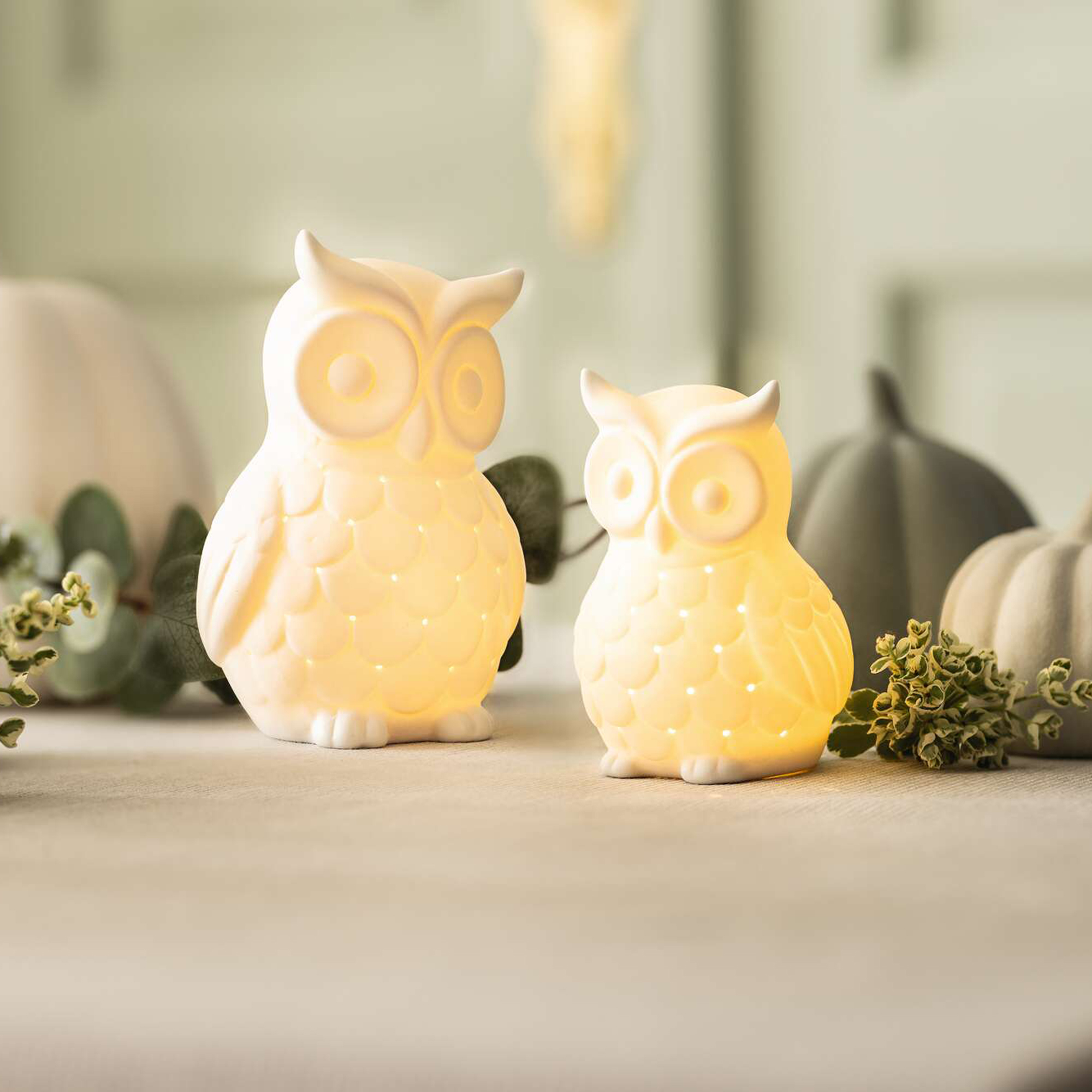 LED-Eule "White", 2er Set  im Frank Flechtwaren Online Shop kaufen