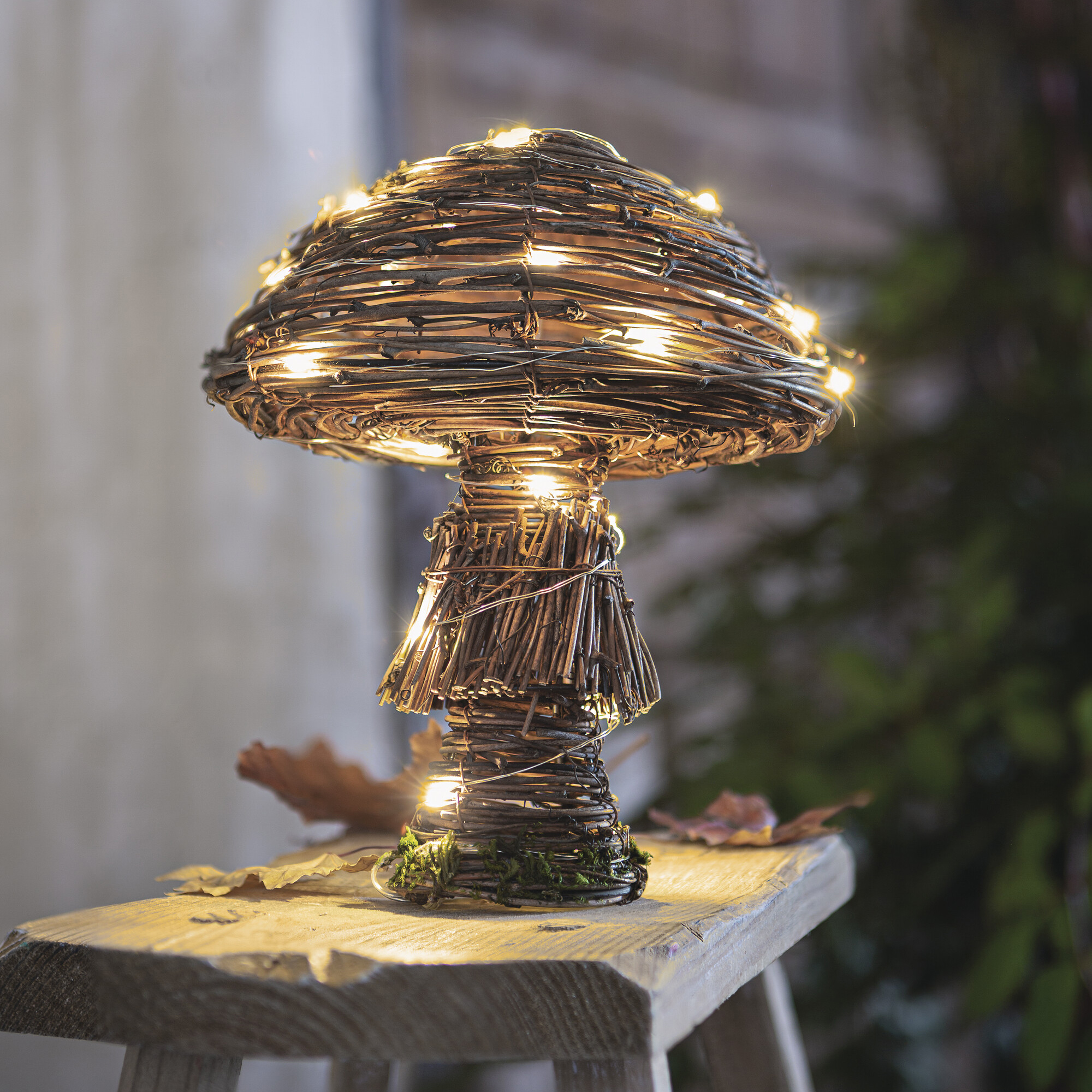 LED-Pilz "Rustic"  im Frank Flechtwaren Online Shop kaufen