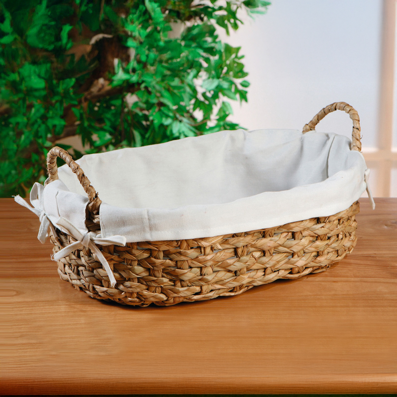 Schale "Schilfgras" im Frank Flechtwaren Online Shop für Schalen kaufen Schale "Schilfgras" im Frank Flechtwaren Online Shop für Schalen kaufen