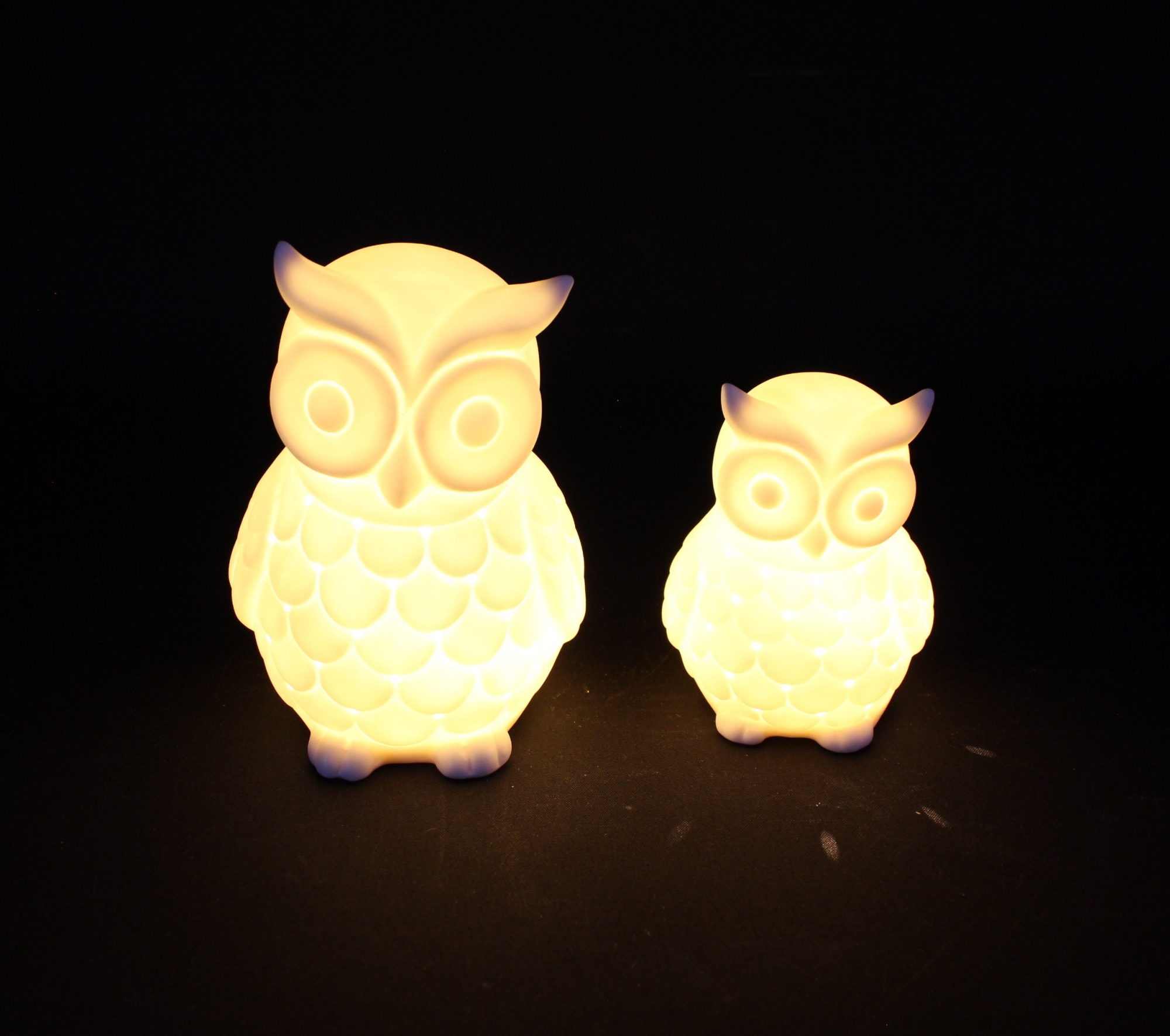 LED-Eule "White", 2er Set  im Frank Flechtwaren Online Shop für Herbst kaufen