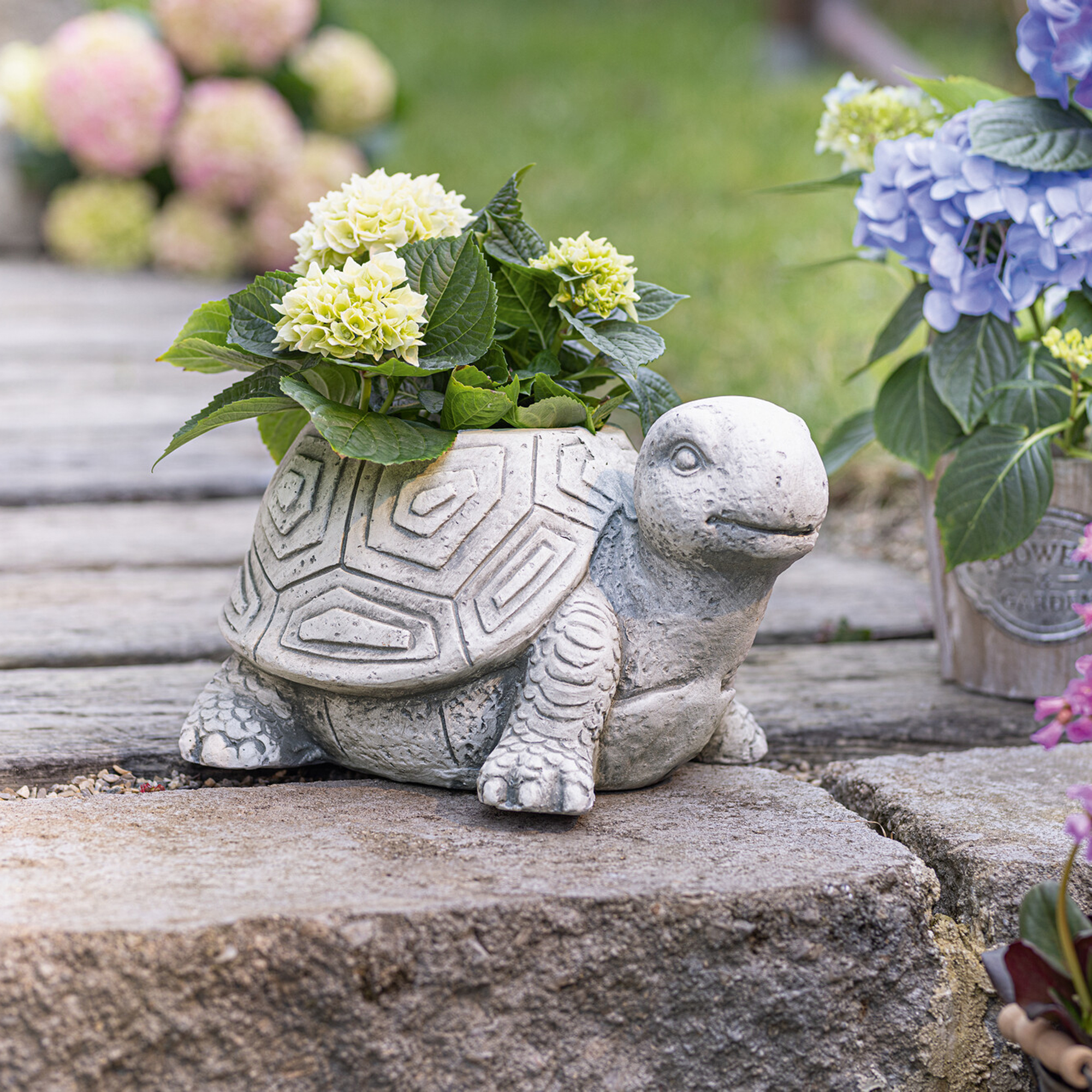 Pflanzer "Schildkröte"  im Frank Flechtwaren Online Shop kaufen
